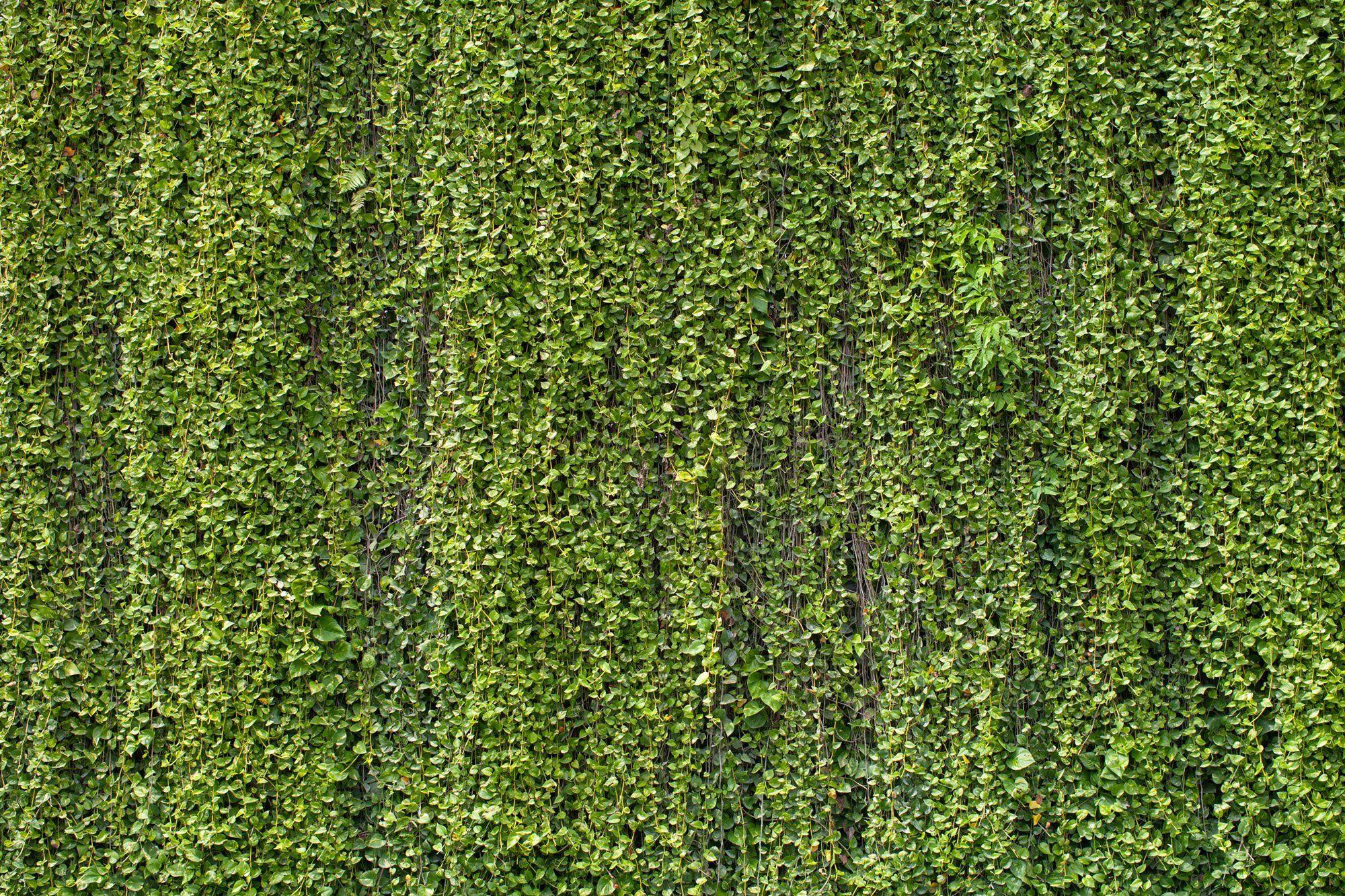 Site hosted by Neocities